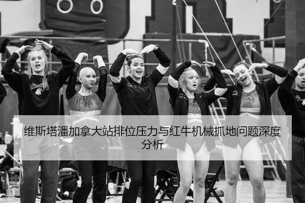 wei-si-ta-pan-jia-na-da-zhan-pai-wei-ya-li-yu-hong-niu-ji-xie-zhua-di-wen-ti-shen-du-fen-xi-2-796.jpg